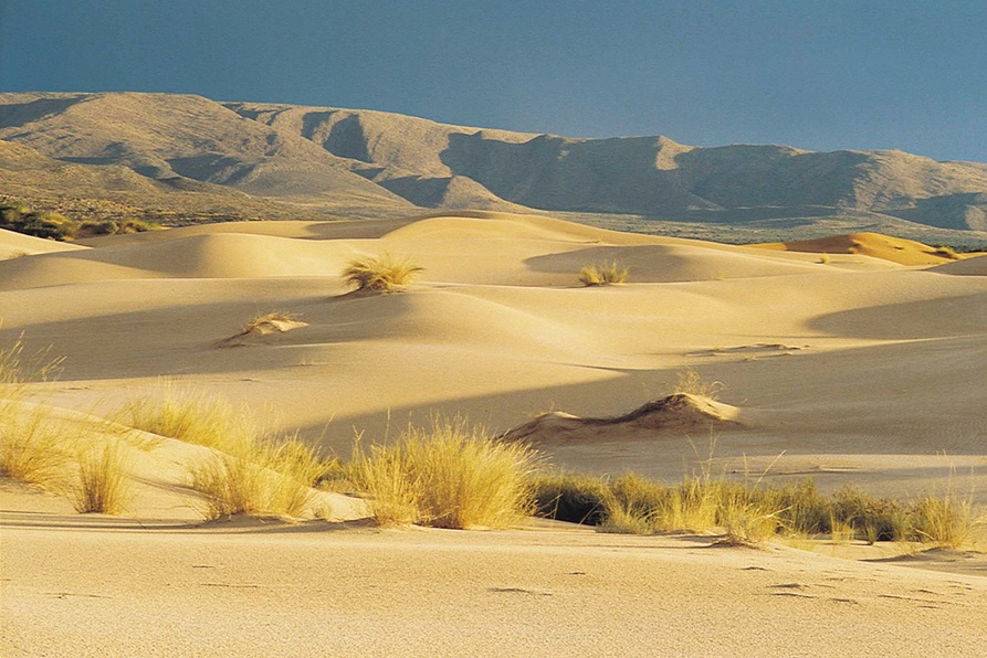 Desert landscape in South Africa