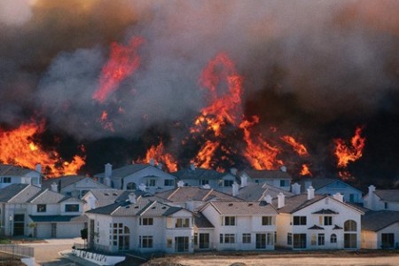 How can you safeguard homes in the wild?