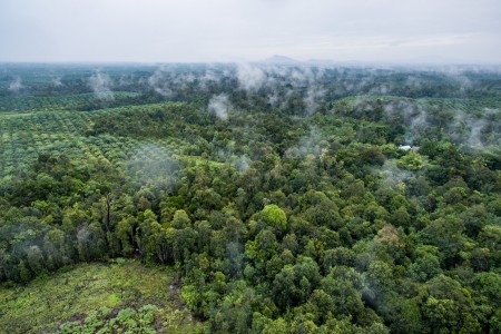 A view from above, courtesy CIFOR, of a promised capital city for Indonesia. Do you see a place for a solar grid?
