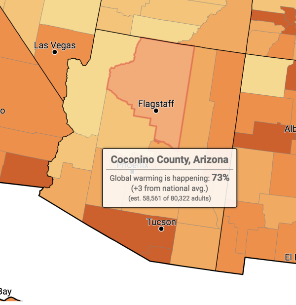 YPCCC-Arizona