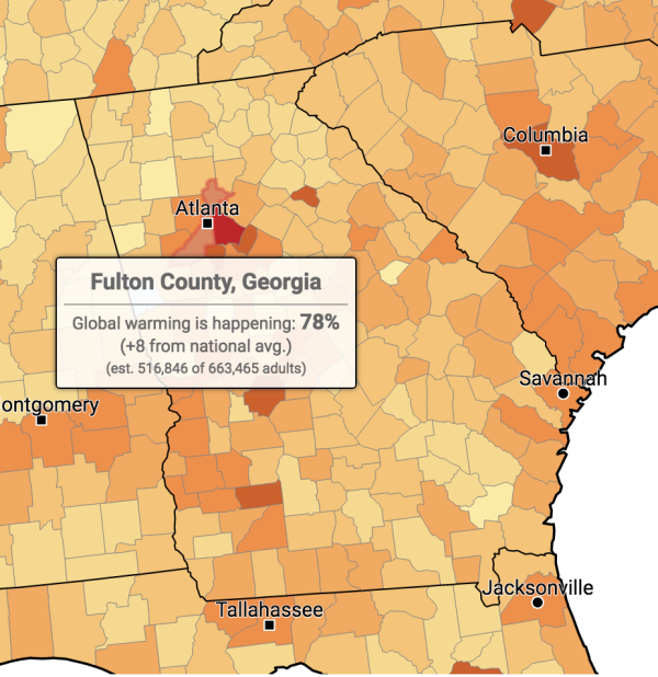 YPCCC-Georgia