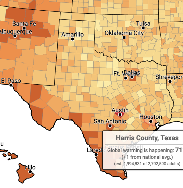 YPCCC-Texas