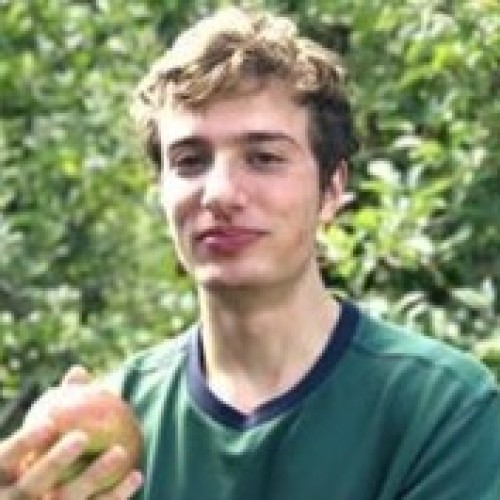 David Landolfi