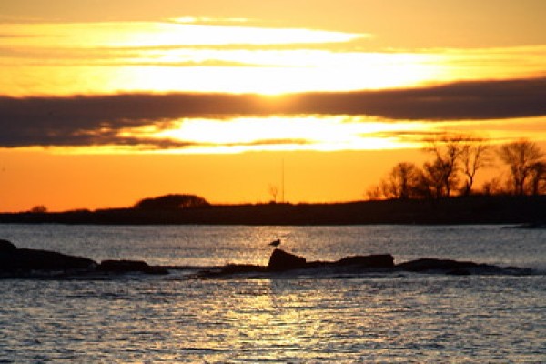 Don't let the sun go down on price reliability, our author urges